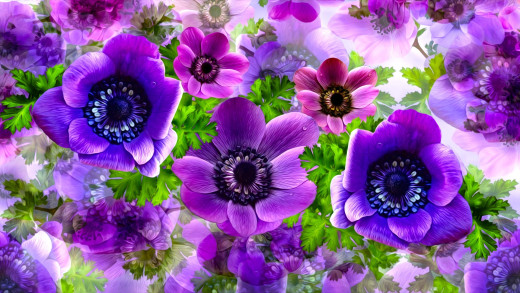 1423439 (a): :1920x1080